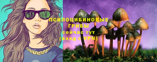mdpv Беломорск